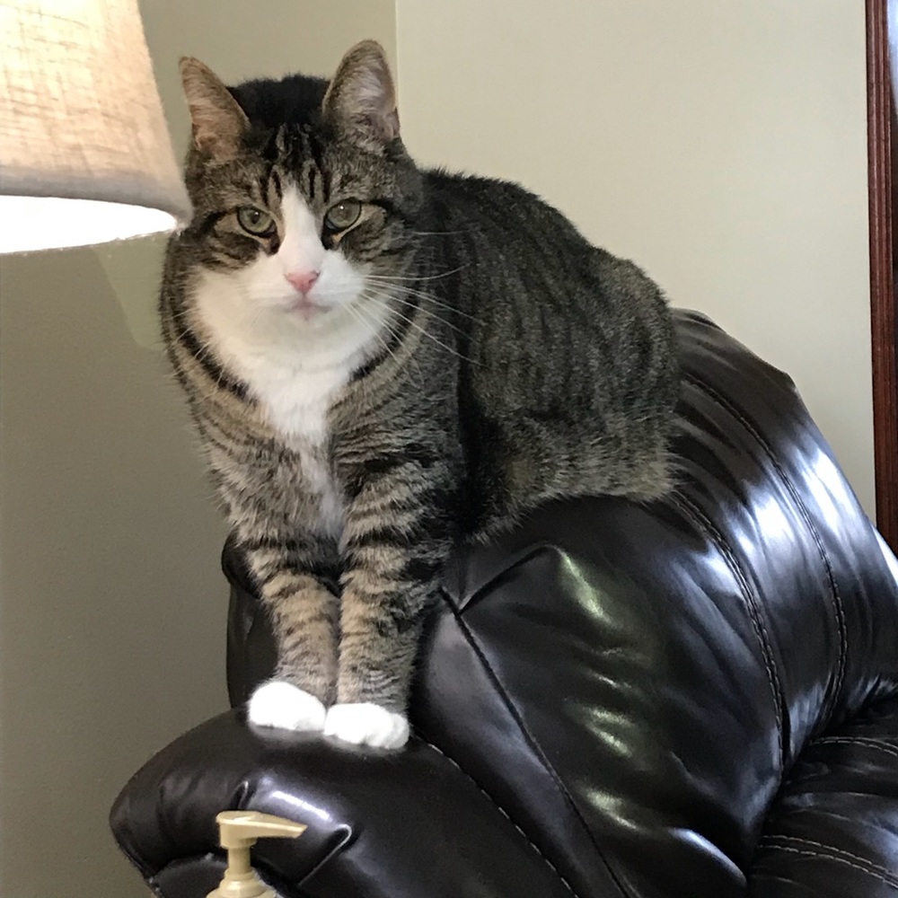 Meet your Posher, Chea